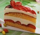 Erdbeer-Quark-Torte © “Mein grosses Grundkochbuch”